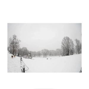 Sigma 15mm f/1.4 DG DN Art Lens for Sony E at PROCAM | procam.com