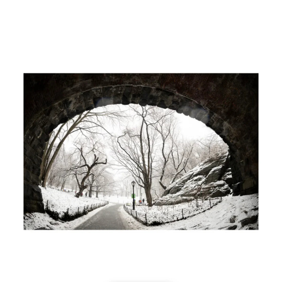 Sigma 15mm f/1.4 DG DN Art Lens for Sony E at PROCAM | procam.com