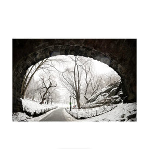 Sigma 15mm f/1.4 DG DN Art Lens for Sony E at PROCAM | procam.com