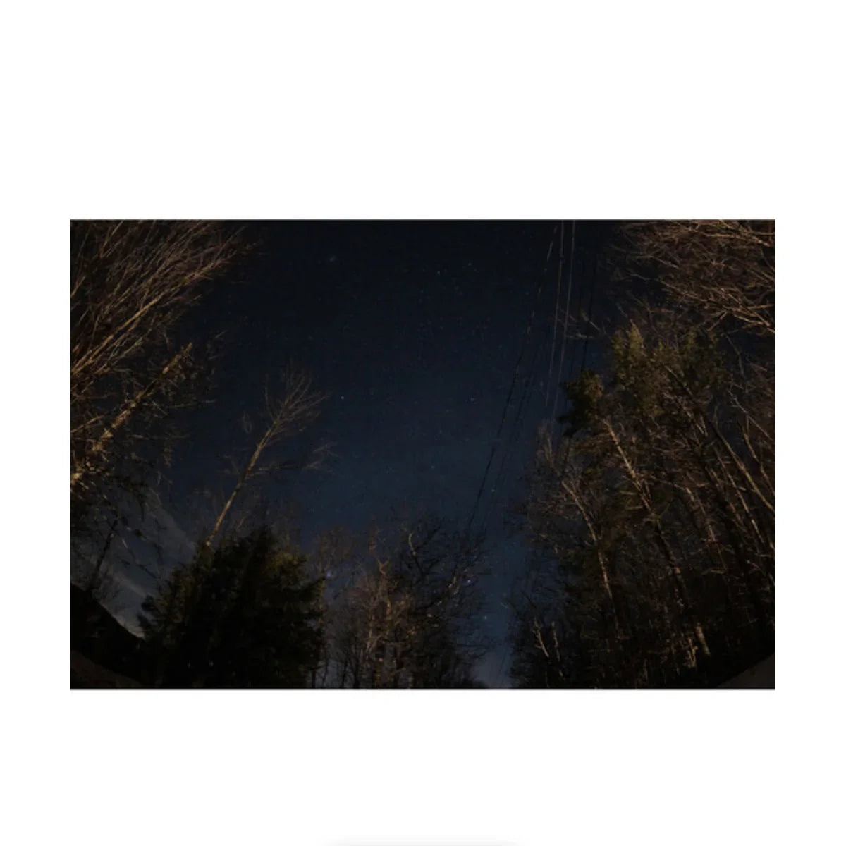 Sigma 15mm f/1.4 DG DN Art Lens for Sony E at PROCAM | procam.com