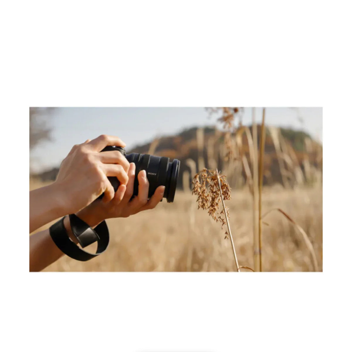 Sony FE 16-25mm f/2.8 G Lens at PROCAM | procam.com