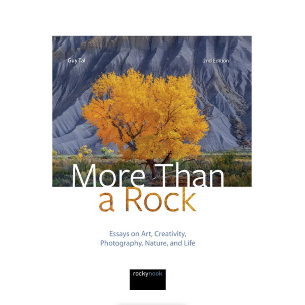 BOOK - More Than a Rock, 2nd Edition at PROCAM | procam.com