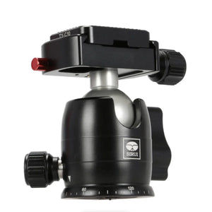 Sirui B-00 Series Mini Ball Head (Black) at PROCAM | procam.com