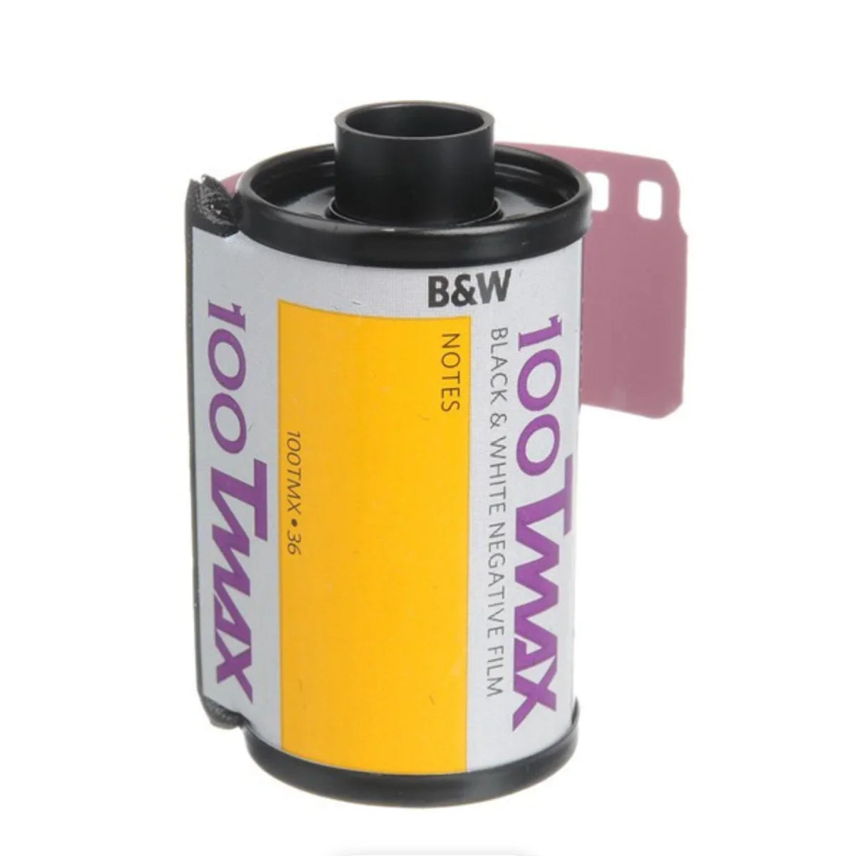 Kodak Professional T-Max 100 Black and White Negative Film (35mm Roll Film, 36 Exposures) at PROCAM | procam.com