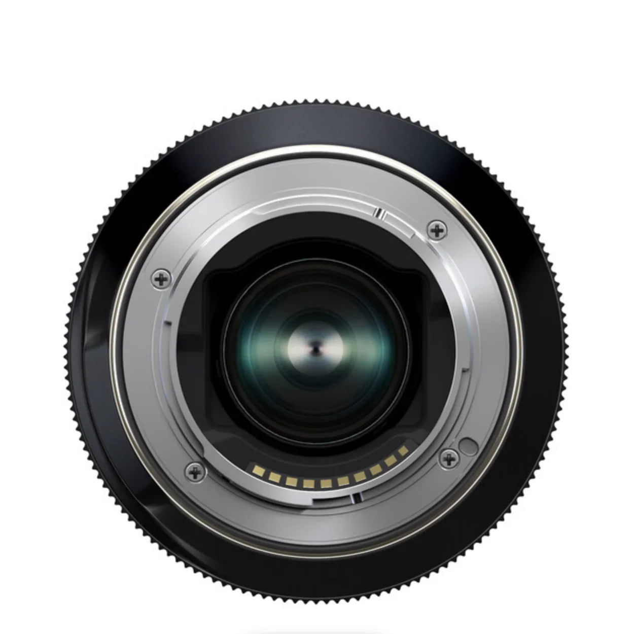 Tamron 50-300mm f/4.5-6.3 Di III VC VXD for Sony E at PROCAM | procam.com