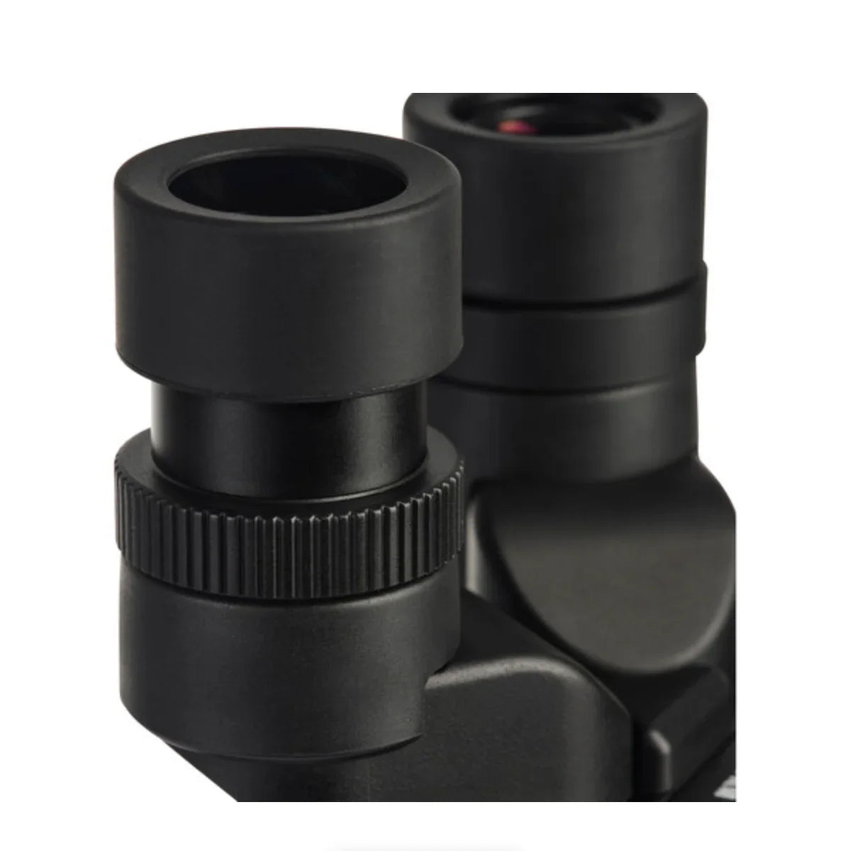 Fujinon 12x28 Techno-Stabi Waterproof Image-Stabilized Binoculars at PROCAM | procam.com