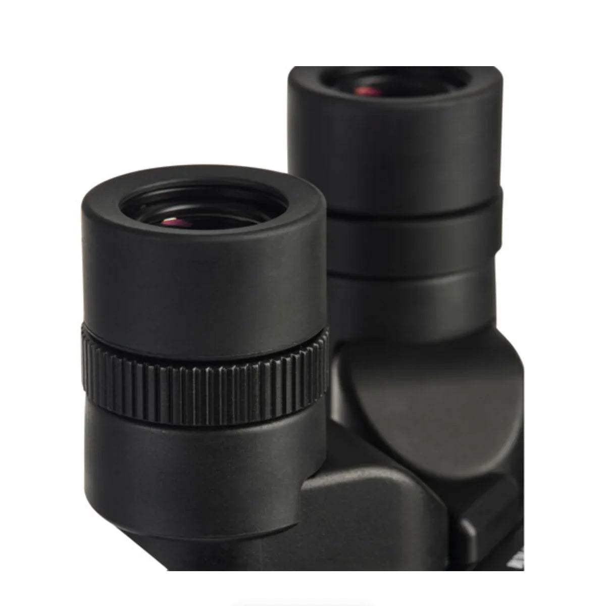 Fujinon 12x28 Techno-Stabi Waterproof Image-Stabilized Binoculars at PROCAM | procam.com