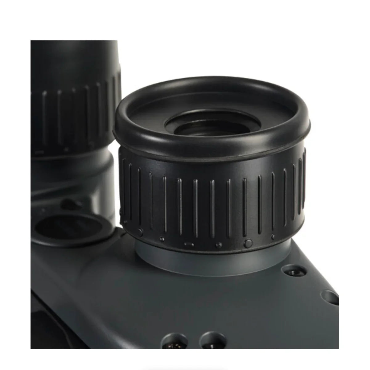 Fujinon 7x50 WPC-XL Mariner Binoculars with Compass at PROCAM | procam.com