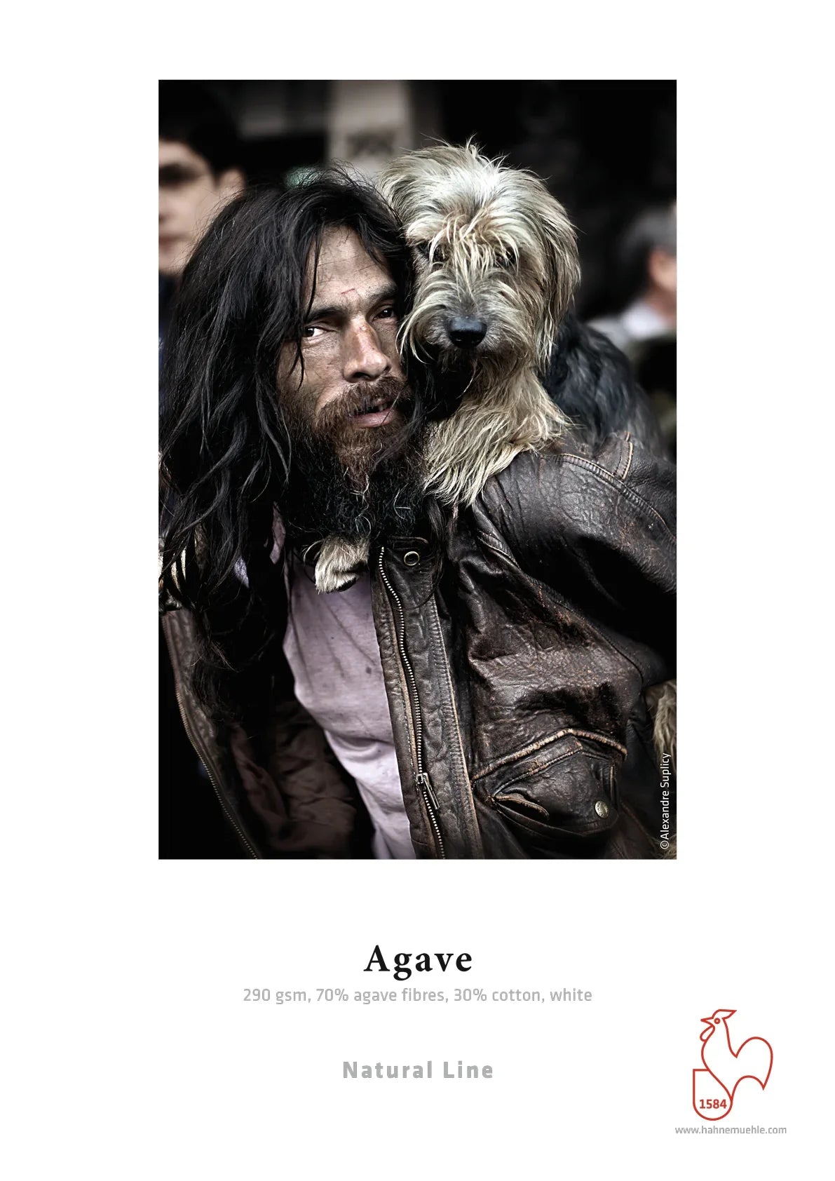 Hahnemuhle Agave FineArt InkJet Paper (8.5 x 11", 25 Sheets) at PROCAM | procam.com