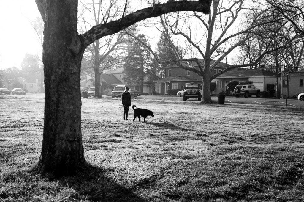 Kodak Professional T-Max 400 Black and White Negative Film (35mm Roll Film, 36 Exposures) at PROCAM | procam.com