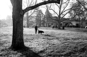 Kodak Professional T-Max 400 Black and White Negative Film (35mm Roll Film, 36 Exposures) at PROCAM | procam.com