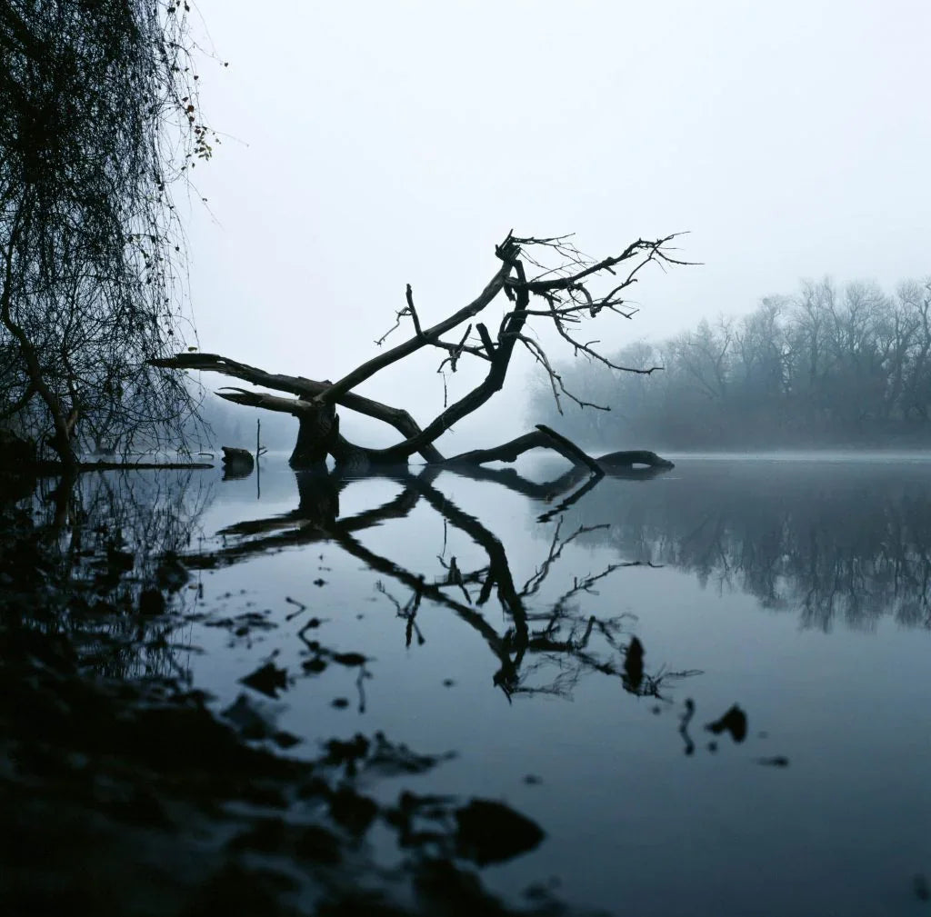 Kodak Professional Ektachrome E100 Color Transparency Film (35mm Roll Film, 36 Exposures) * E-6 Film Process at PROCAM | procam.com