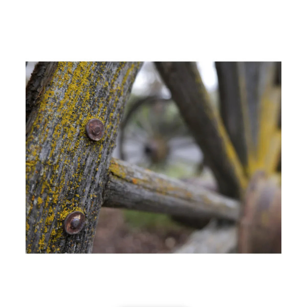 Panasonic Lumix S5 II Mirrorless Camera w/ S 20-60mm f/3.5-5.6 Lens at PROCAM | procam.com