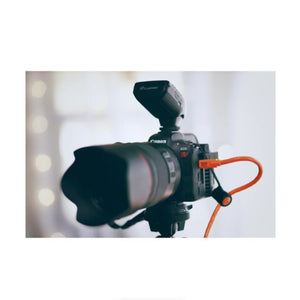 Tether Tools TetherGuard Camera Support at PROCAM | procam.com