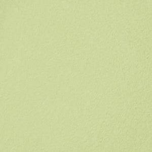 Westcott Wrinkle-Resistant Backdrop - Light Moss Green (9' x 10') at PROCAM | procam.com