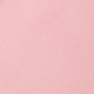 Westcott Wrinkle-Resistant Backdrop - Blush Pink (9' x 10') at PROCAM | procam.com