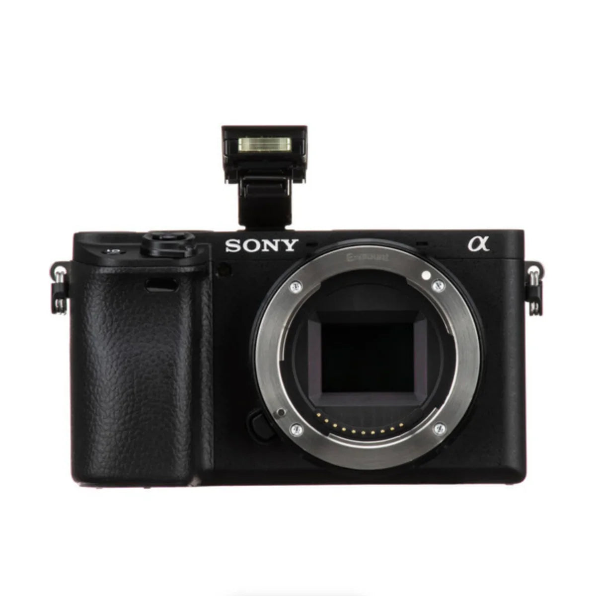 Sony a6400 Mirrorless Digital Camera (Body Only) at PROCAM | procam.com