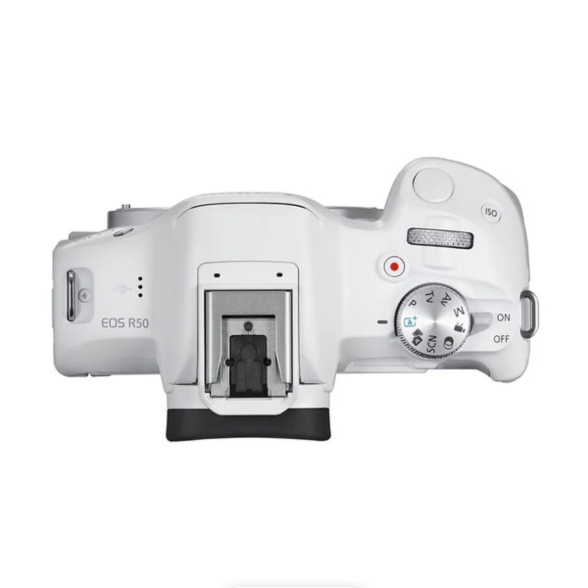 Canon EOS R50 Mirrorless Camera (Body Only, White) at PROCAM | procam.com