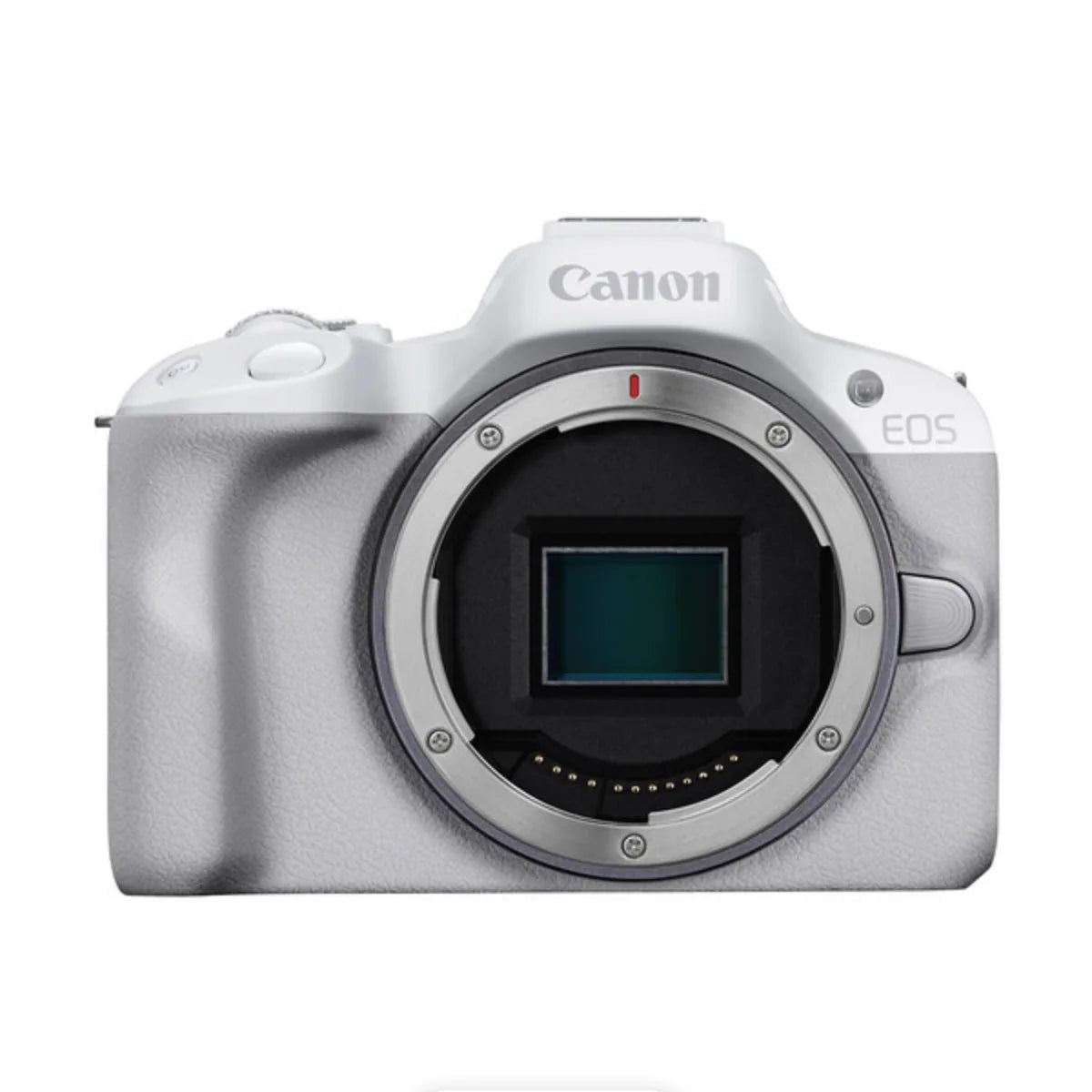 Canon EOS R50 Mirrorless Camera (Body Only, White) at PROCAM | procam.com