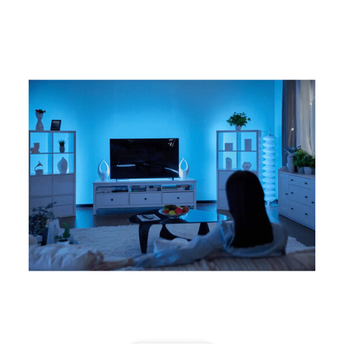 amaran SM5c LED Light Strip (16.4', Multicolor) at PROCAM | procam.com