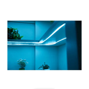 amaran SM5c LED Light Strip (16.4', Multicolor) at PROCAM | procam.com