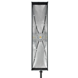 Aputure Light Box 30120 (12 x 48") at PROCAM | procam.com