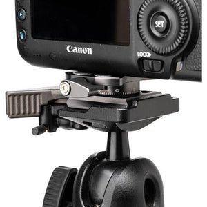 Benro ArcaSmart360 Rotating Adapter Plate at PROCAM | procam.com