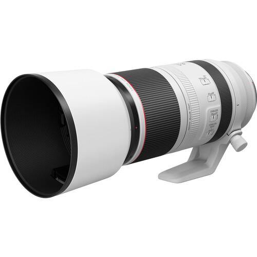 Canon RF 100-500mm f/4.5-7.1 L IS USM Lens | PROCAM