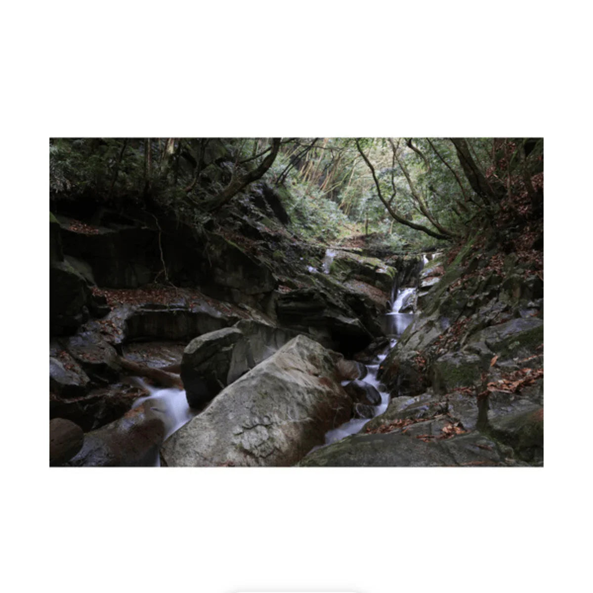 Canon RF-S 18-150mm f/3.5-6.3 IS STM Lens at PROCAM | procam.com