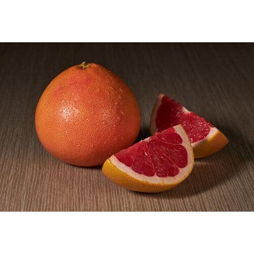 Godox MF12 Macro Flash | PROCAM