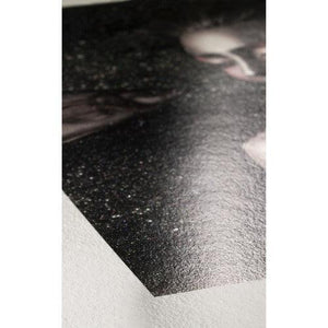 Hahnemuhle Photo Rag Metallic (13 x 19", 25 Sheets) at PROCAM | procam.com