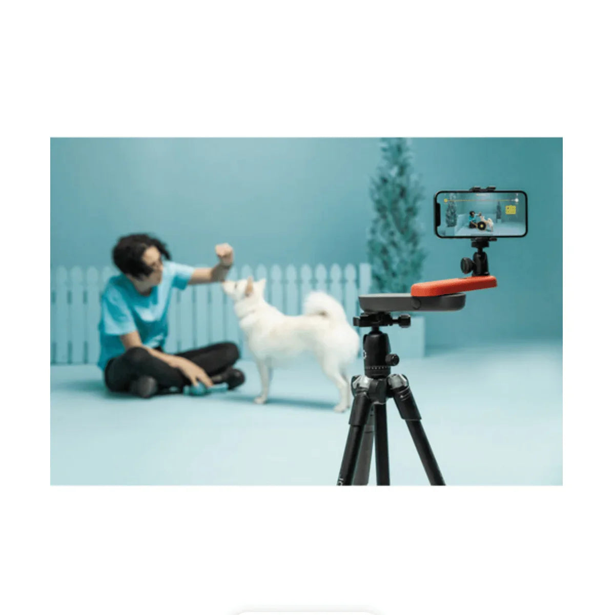 JOBY Swing Portable Electronic Smartphone Slider Phone Mount Kit at PROCAM | procam.com