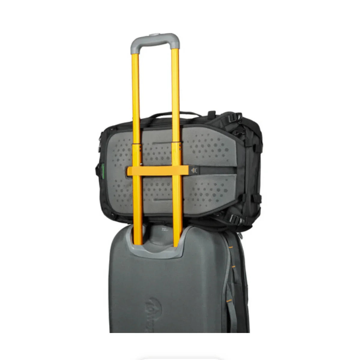 Lowepro Trekker Lite BP 250 AW Backpack (Black) at PROCAM | procam.com