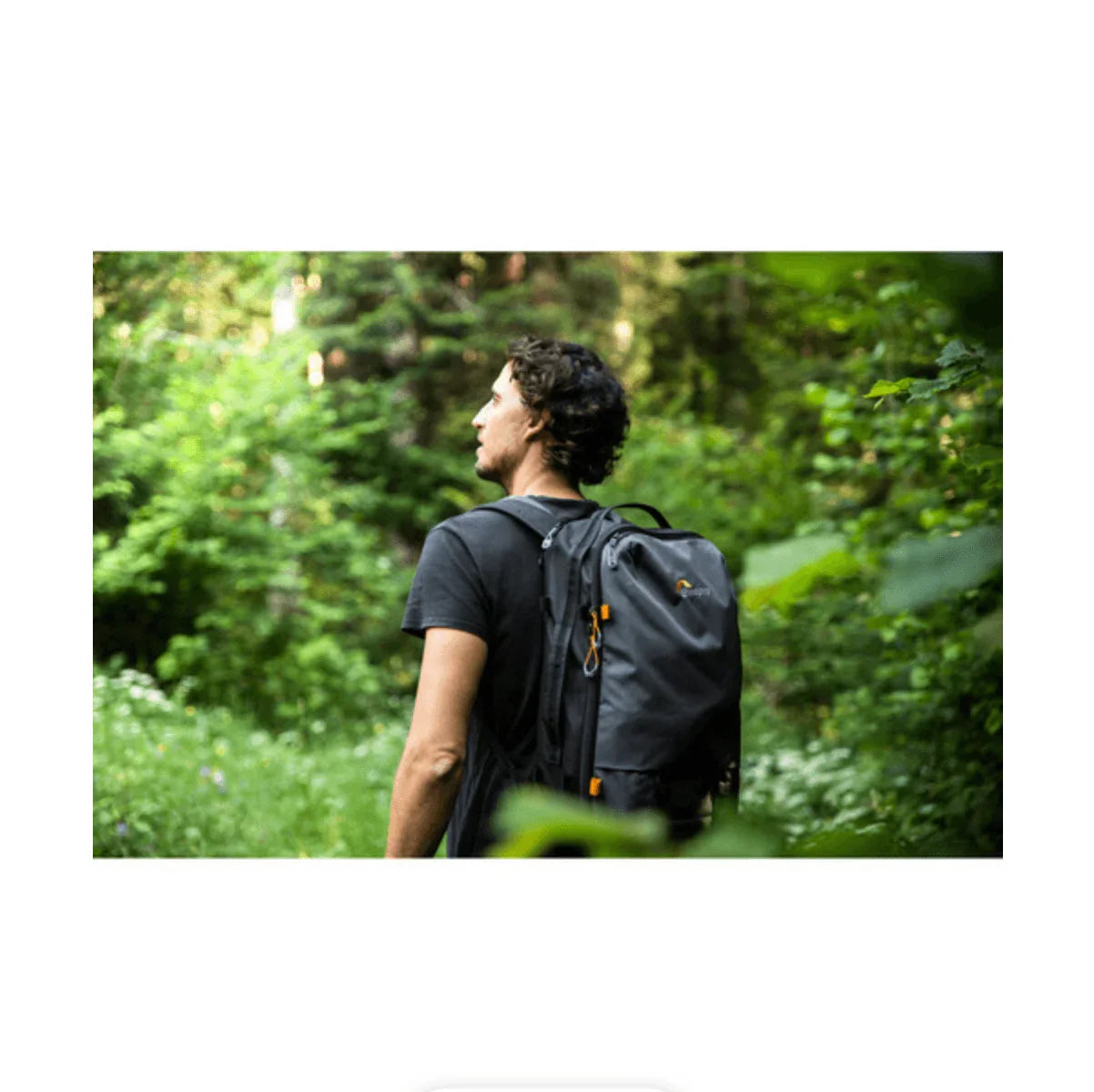 Lowepro Trekker Lite BP 250 AW Backpack Dark Grey at PROCAM | procam.com