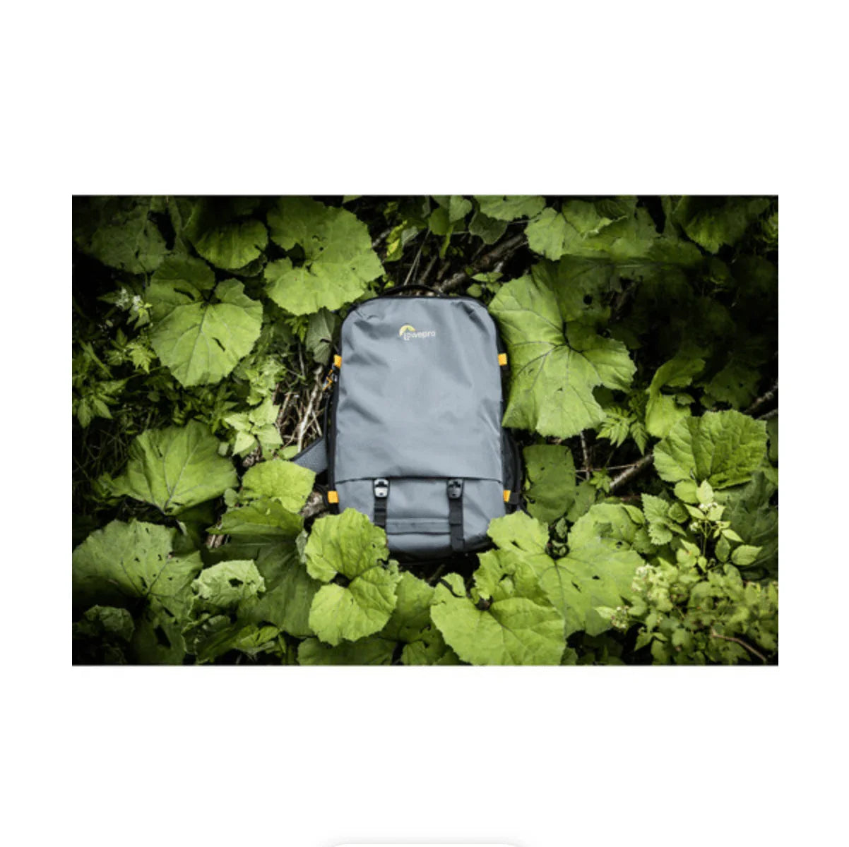 Lowepro Trekker Lite BP 250 AW Backpack Dark Grey at PROCAM | procam.com