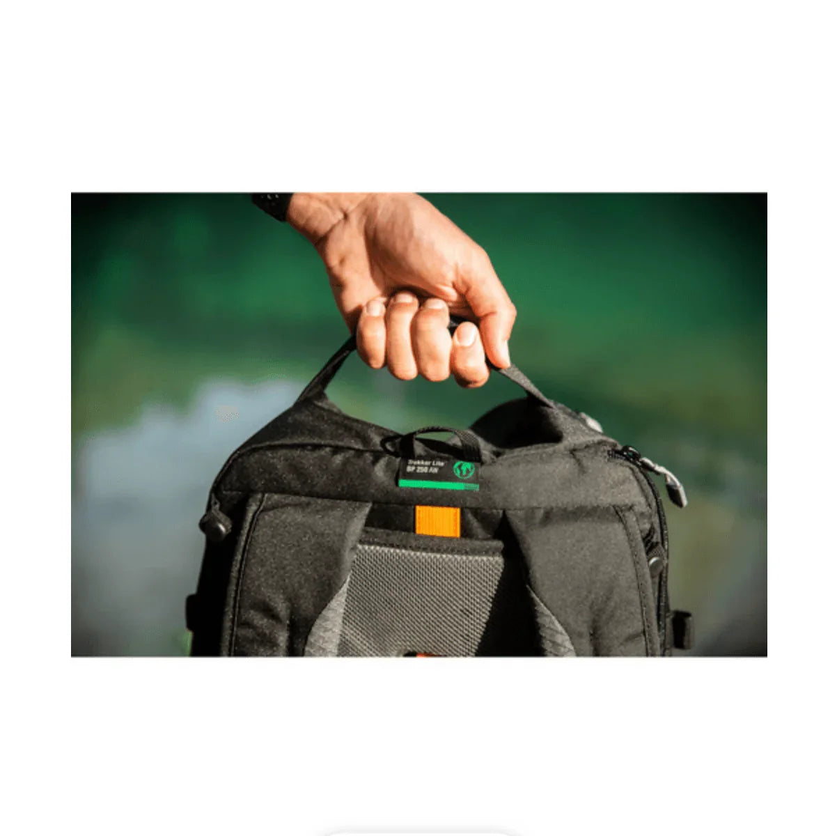 Lowepro Trekker Lite BP 250 AW Backpack Dark Grey at PROCAM | procam.com