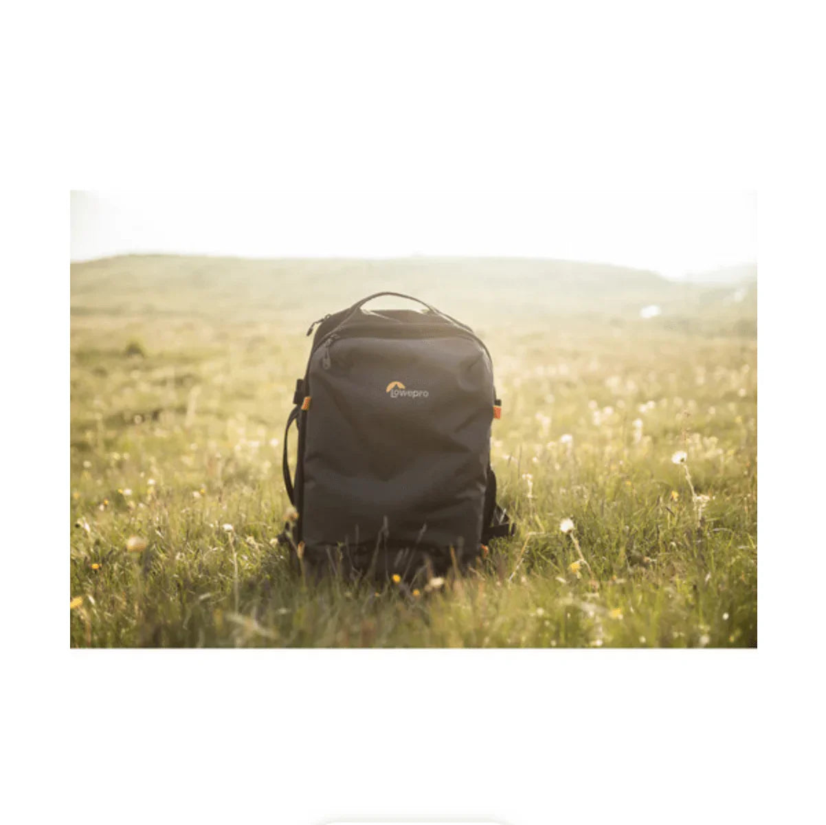 Lowepro Trekker Lite BP 250 AW Backpack Dark Grey at PROCAM | procam.com