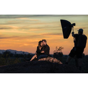 MagMod MagBox Pro 36" Strip Grid at PROCAM | procam.com