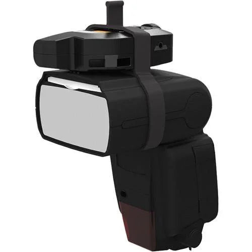 MagMod Transmitter Band (3-Pack) at PROCAM | procam.com