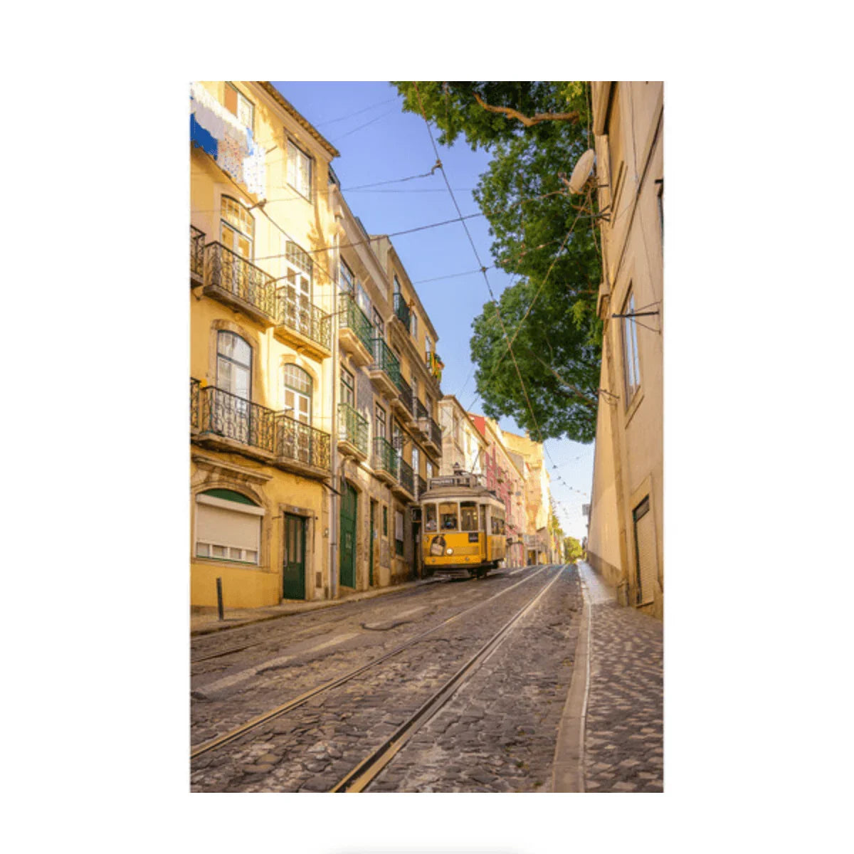 Nikon NIKKOR Z 17-28mm f/2.8 Lens at PROCAM | procam.com