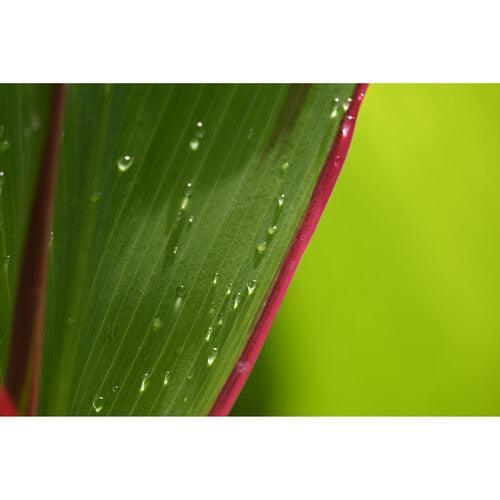 Nikon NIKKOR Z DX 18-140mm f/3.5-6.3 VR Lens at PROCAM | procam.com