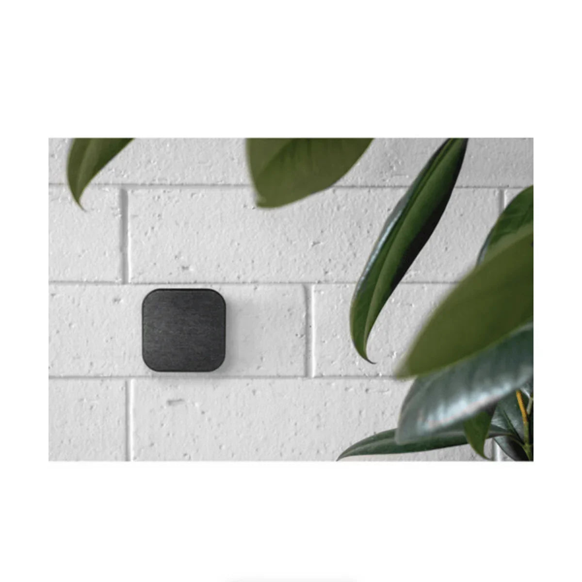 Peak Design Mobile Smartphone Magnetic Wall Mount (Charcoal) at PROCAM | procam.com