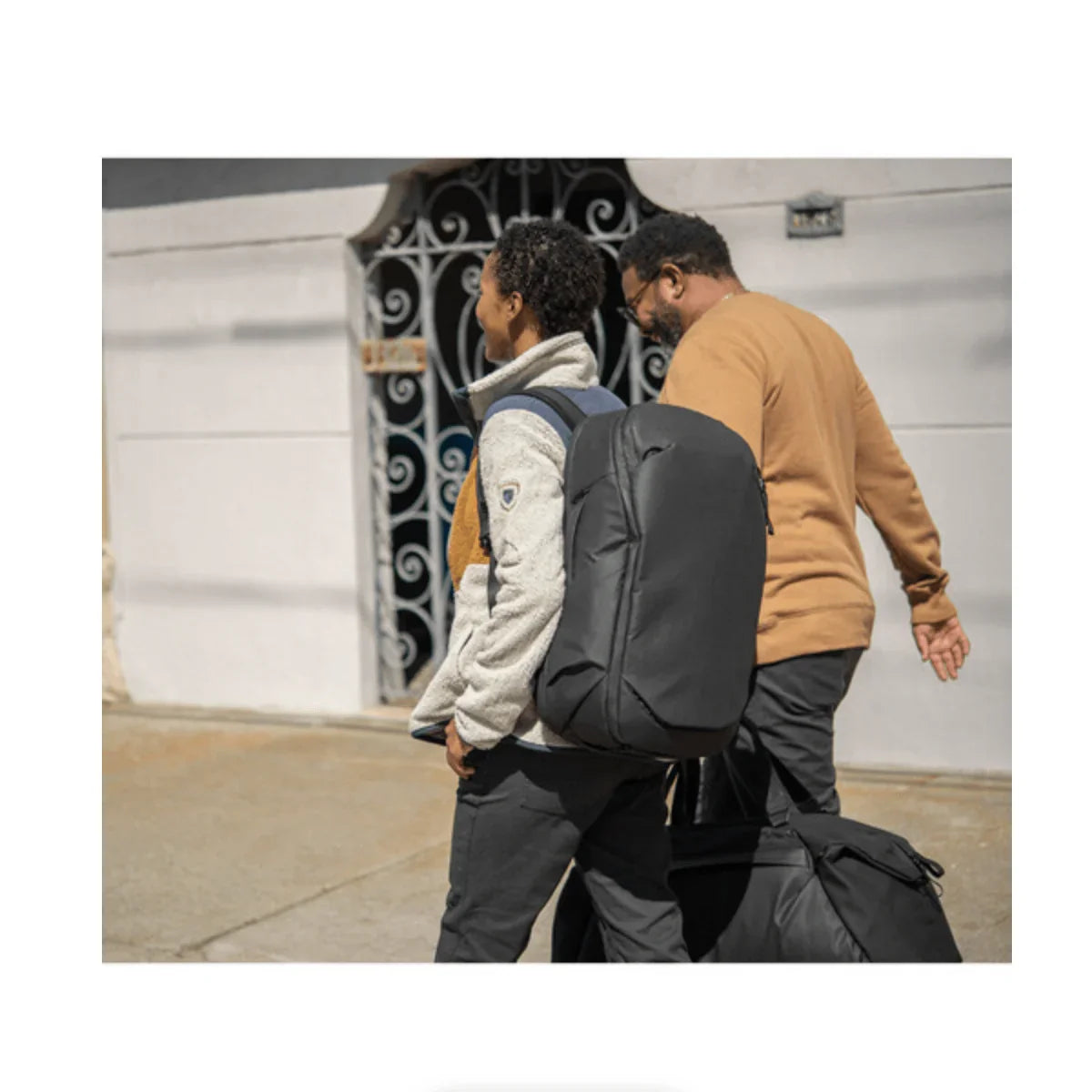 Peak Design Travel Backpack (30L, Black) at PROCAM | procam.com