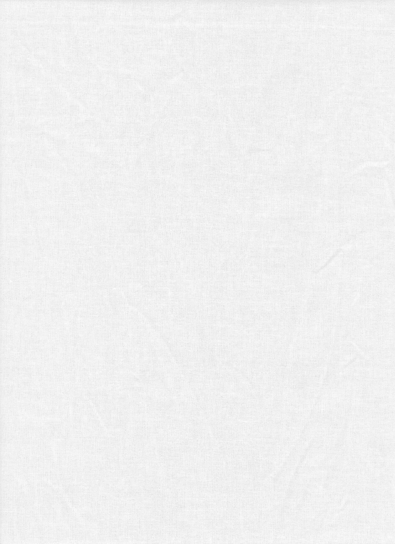 ProMaster 12' Solid Backdrop (White) at PROCAM | procam.com