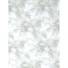 ProMaster Cloud Dyed Backdrop - 10' x 20' - Light Grey