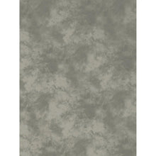 ProMaster Cloud Dyed Backdrop - 6' x 10' - Light Grey