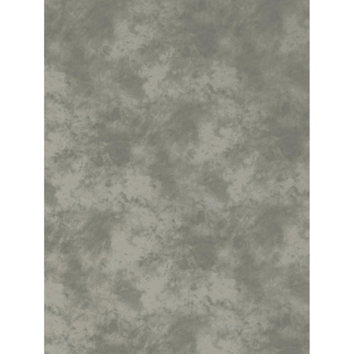 ProMaster Cloud Dyed Backdrop - 6' x 10' - Light Grey | PROCAM