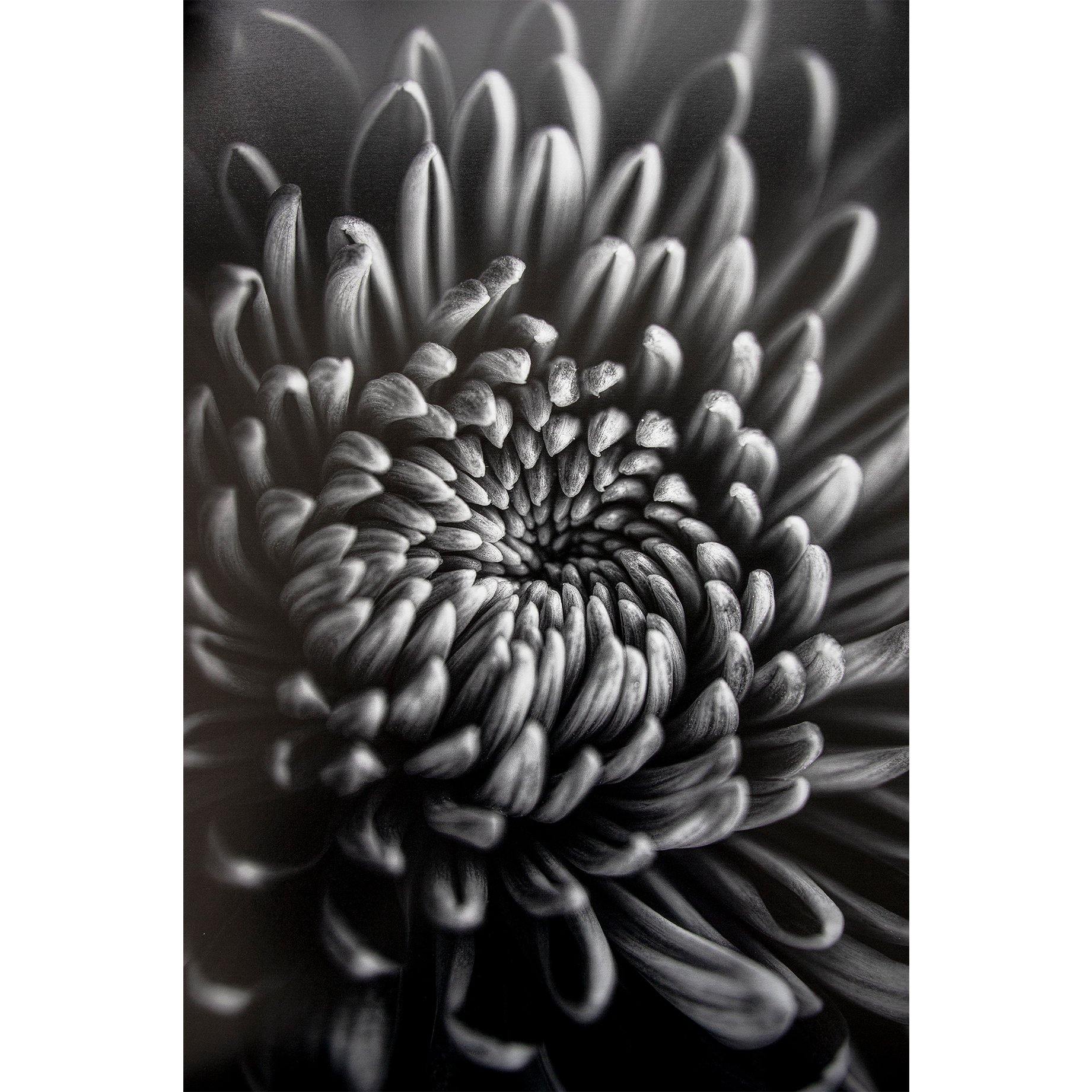 ProMaster Fine Art Baryta Natural Satin Inkjet Photo Paper - 8.5''x11'' - 20 Sheets | PROCAM