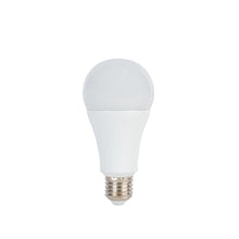 ProMaster LED Studio Lamp 14W/5600K E27