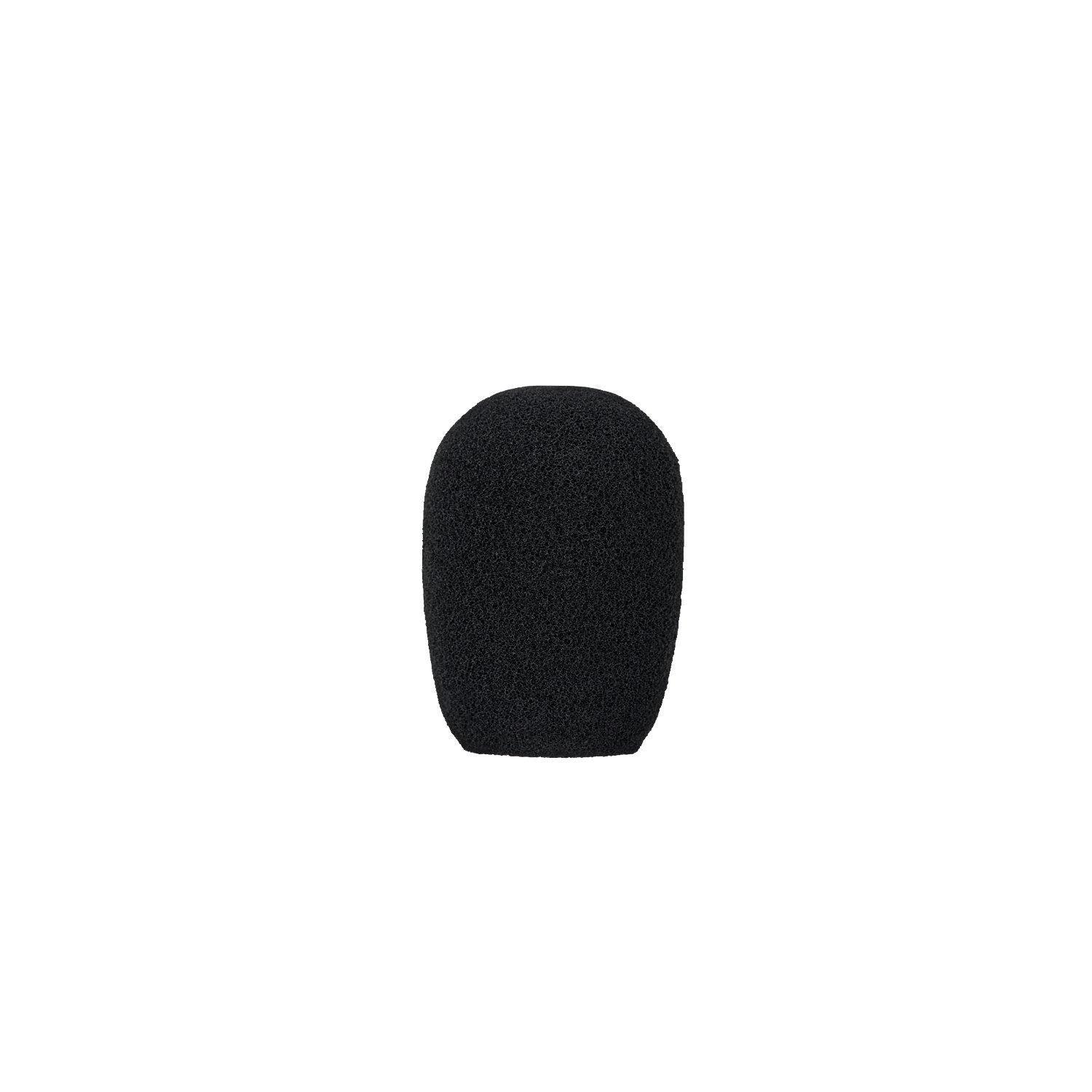 ProMaster Mini Directional Microphone SGM2 at PROCAM | procam.com
